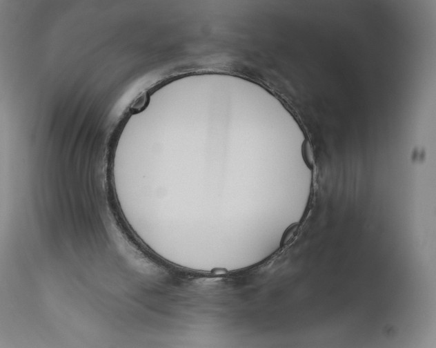 X0000110690054200907021943