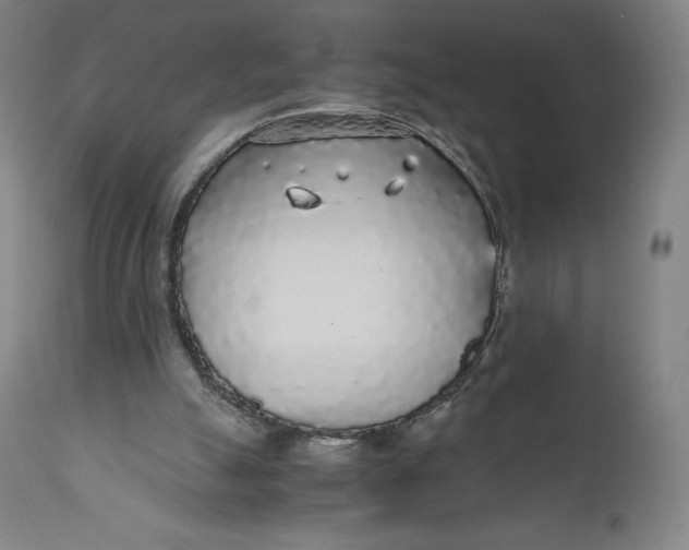 X0000110690055200907021943