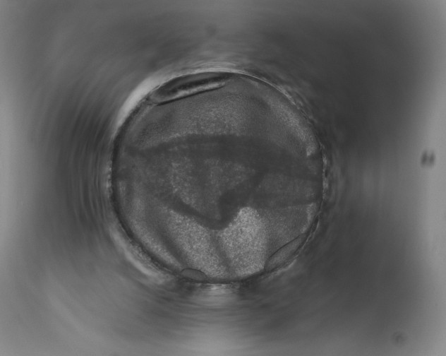 X0000110690056200907021943