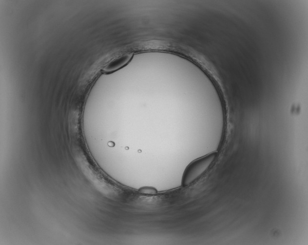 X0000110690057200907021943