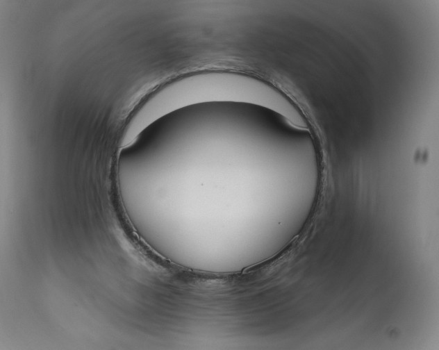 X0000110690058200907021943