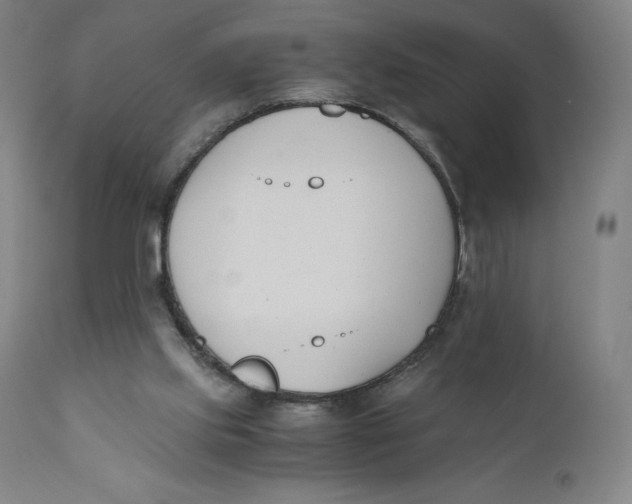 X0000110690061200907021943