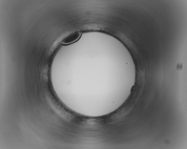 X0000110690064200907021943