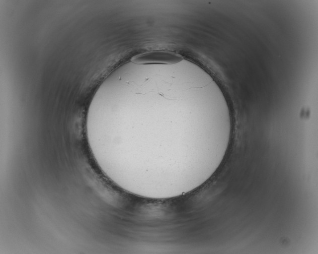 X0000110690065200907021943