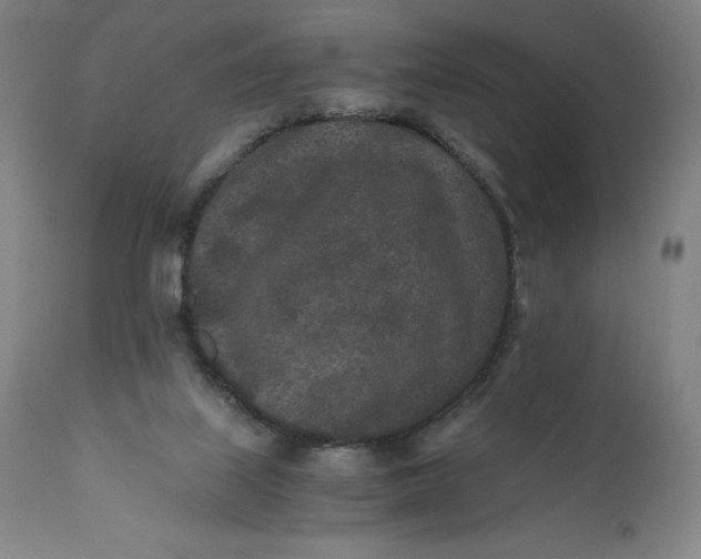 X0000110690067200907021943