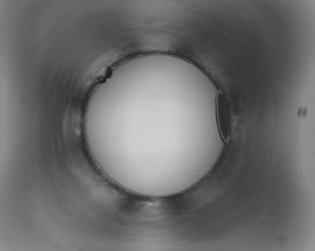 X0000110690068200907021943