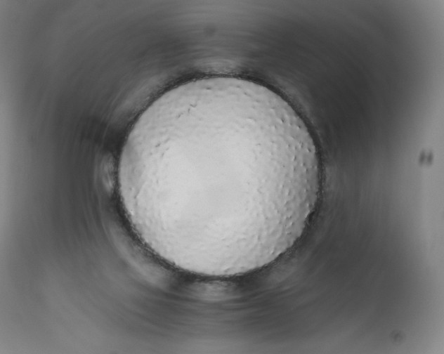 X0000110690069200907021943