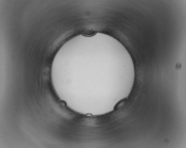 X0000110690071200907021943