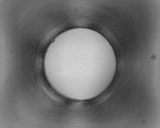 X0000110690072200907021943