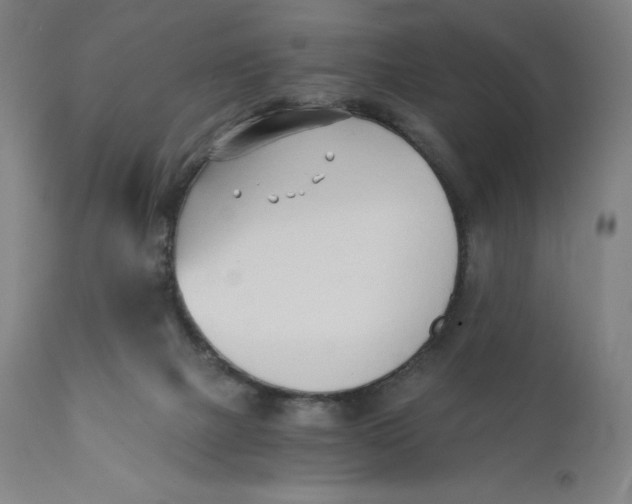 X0000110690073200907021943