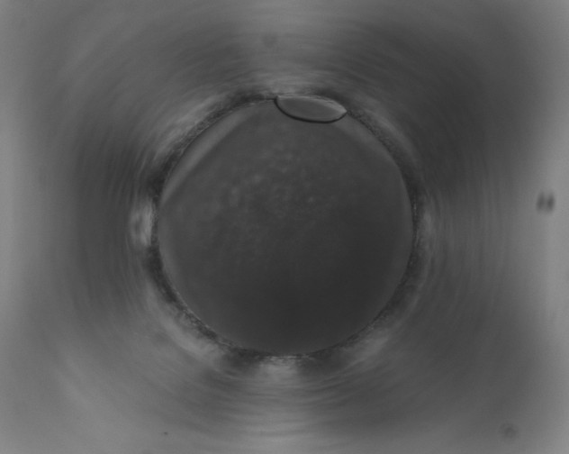 X0000110690076200907021943