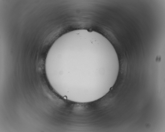 X0000110690077200907021943