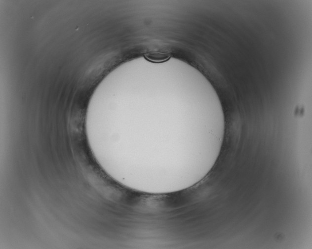 X0000110690078200907021943