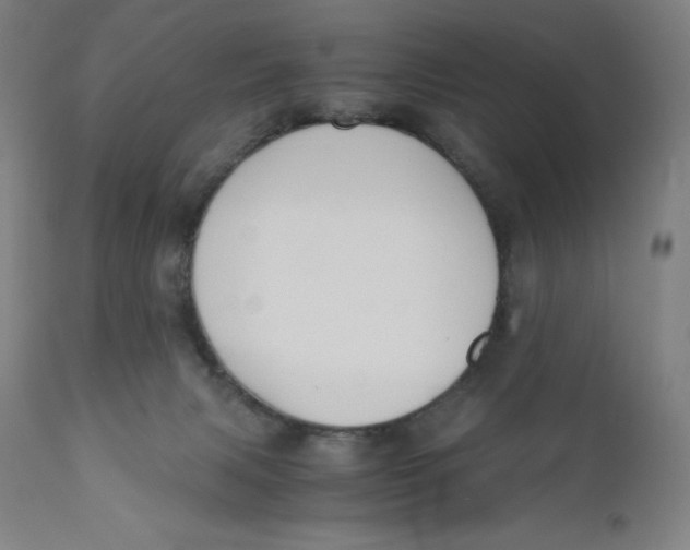 X0000110690079200907021943