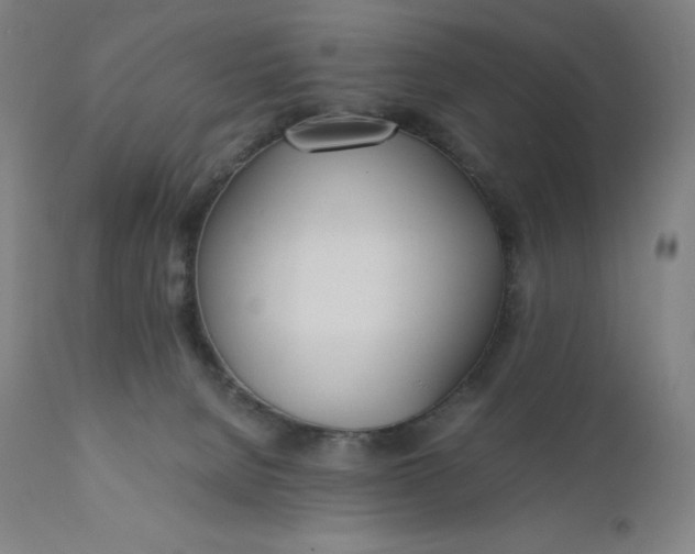 X0000110690080200907021944