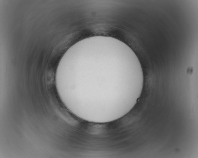 X0000110690081200907021944