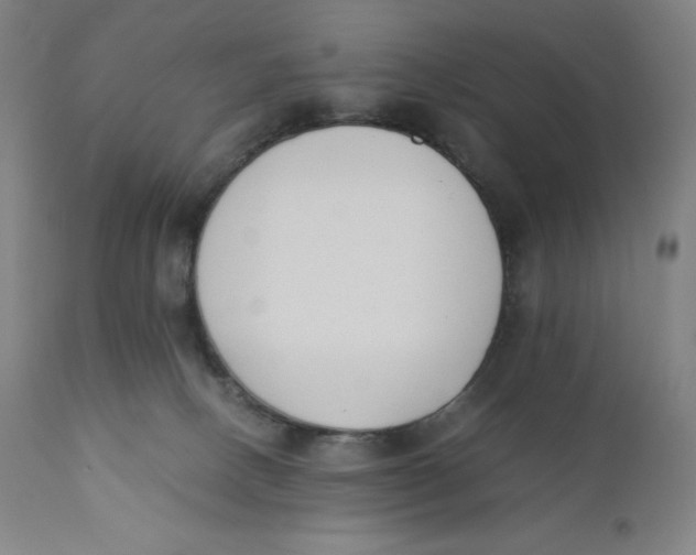 X0000110690082200907021944