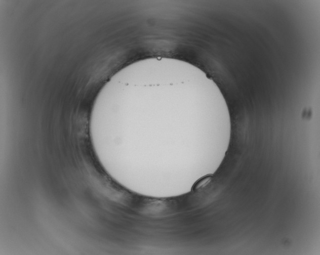 X0000110690083200907021944