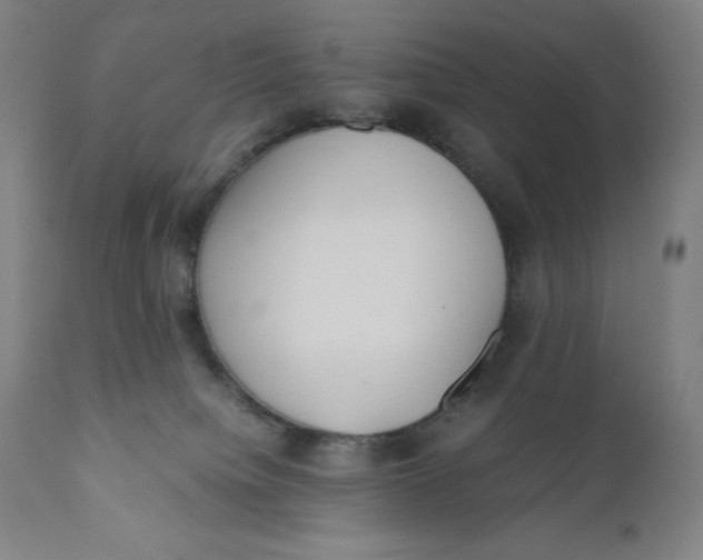 X0000110690084200907021944