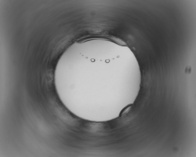 X0000110690085200907021944