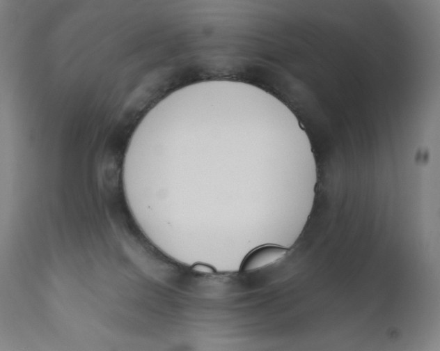 X0000110690086200907021944