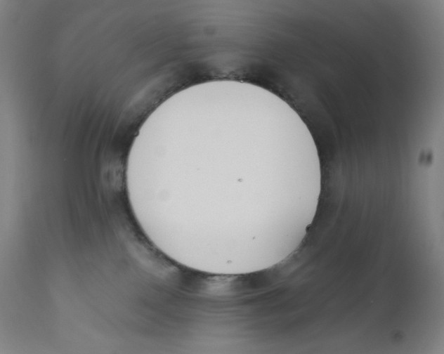 X0000110690090200907021944