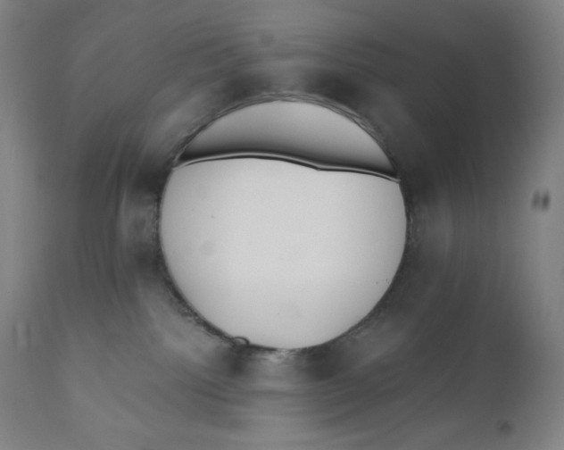 X0000110690092200907021944