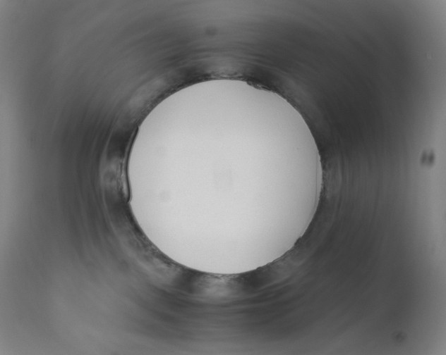 X0000110690093200907021944