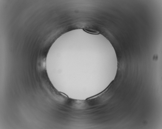 X0000110690095200907021944