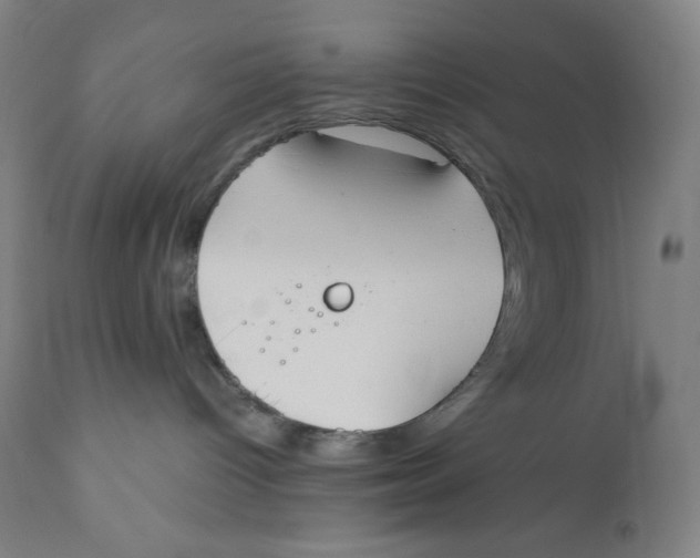 X0000110690096200907021944