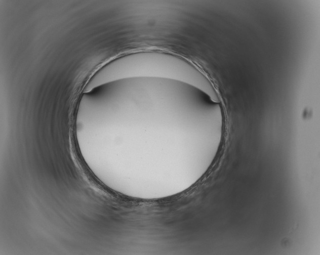 X0000110690097200907021943