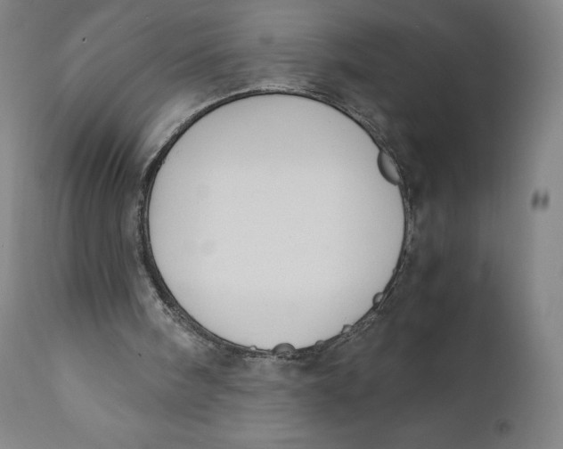 X0000110690098200907021943