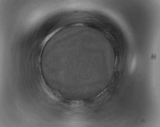 X0000110690099200907021943