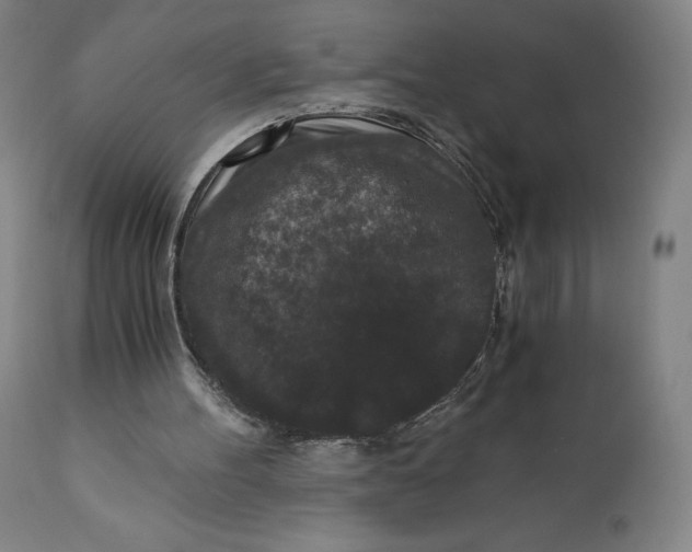 X0000110690100200907021943