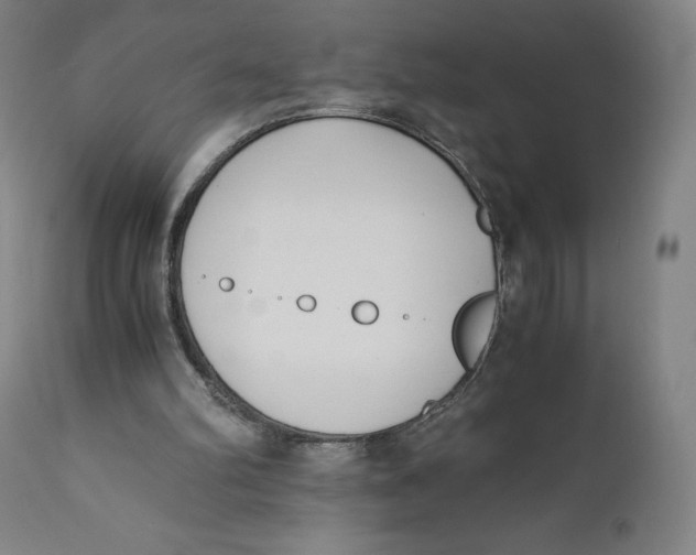 X0000110690102200907021943