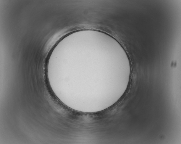 X0000110690103200907021943