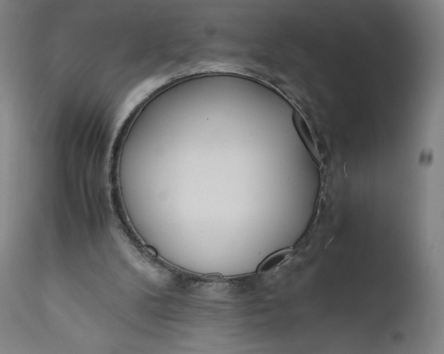 X0000110690104200907021943