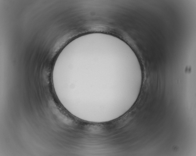 X0000110690106200907021943