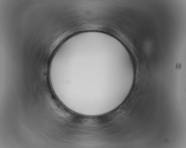 X0000110690107200907021943