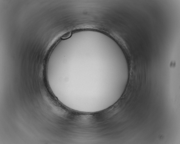 X0000110690108200907021943