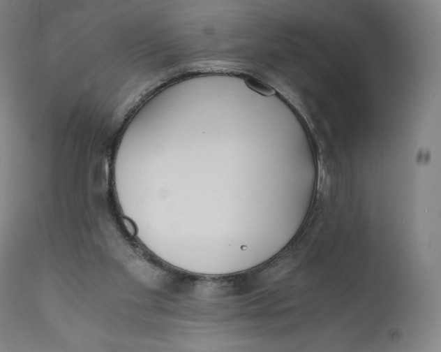 X0000110690109200907021943