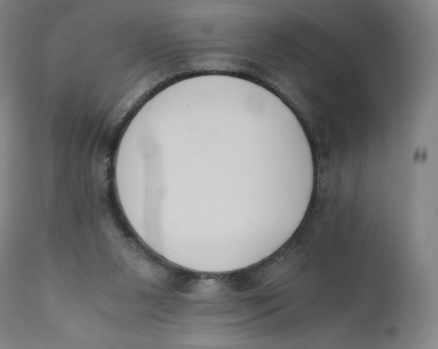 X0000110690111200907021943