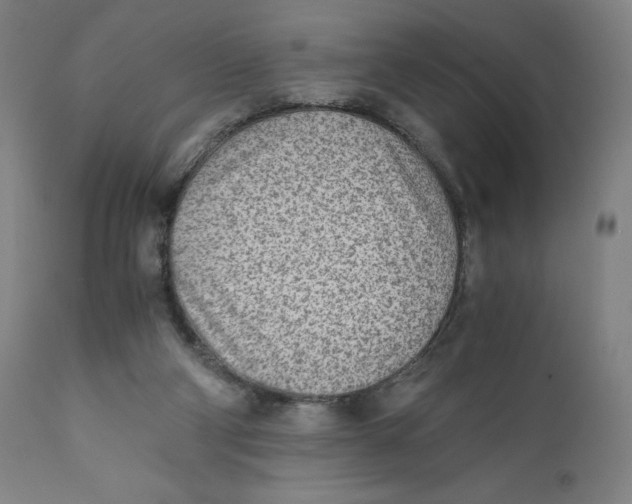 X0000110690114200907021943