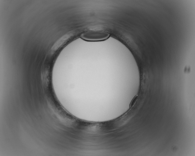 X0000110690116200907021943