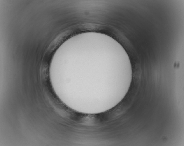 X0000110690119200907021943