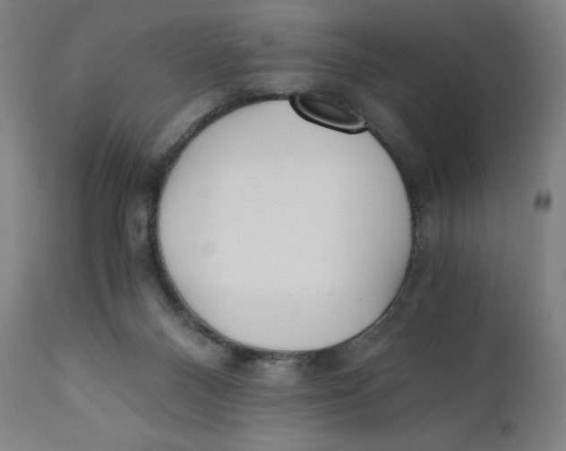 X0000110690120200907021943