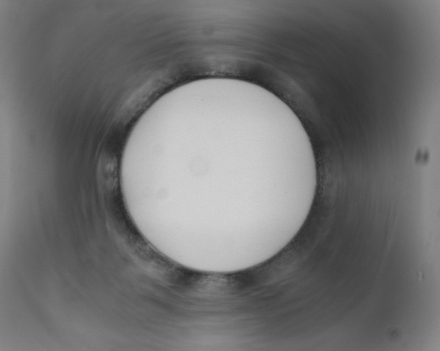 X0000110690123200907021943