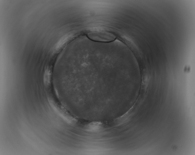 X0000110690124200907021943