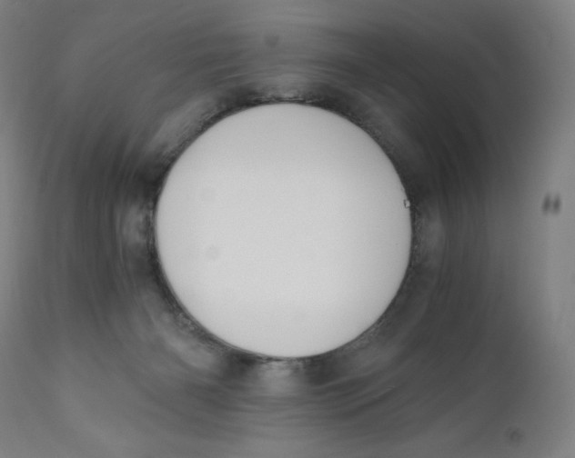 X0000110690126200907021943