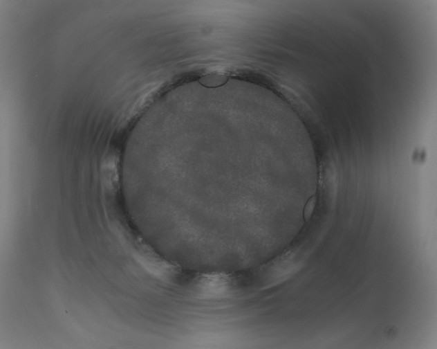 X0000110690127200907021943